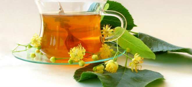 Фиточай для лечения поджелудочной железы