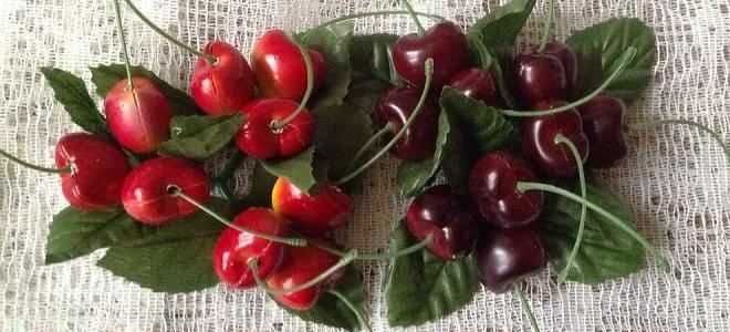 Можно ли употреблять черешню или вишню при панкреатите?