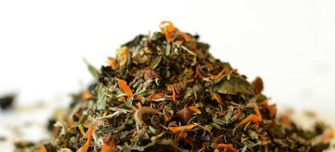 Травяные сборы при панкреатите: аптечные травы для лечения поджелудочной железы