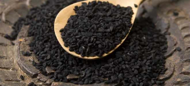 Масло черного тмина при лечении панкреатита