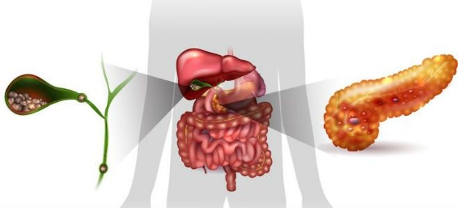 Причины и развитие уплотнений в поджелудочной железе