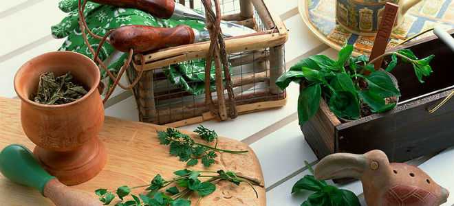 Народные средства, эффективные при панкреатите и холецистите