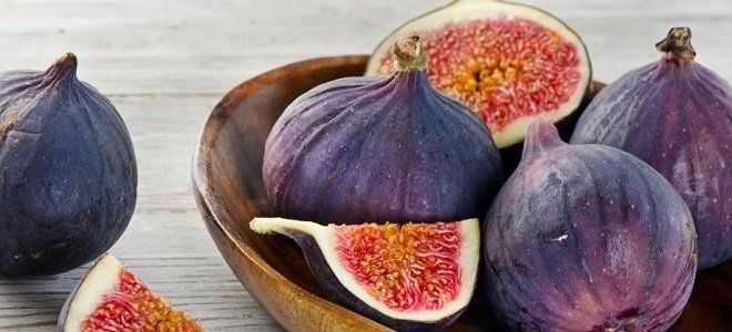 Особенности употребления и польза инжира при панкреатите
