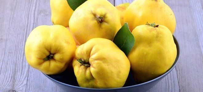 Можно ли при панкреатите есть айву?