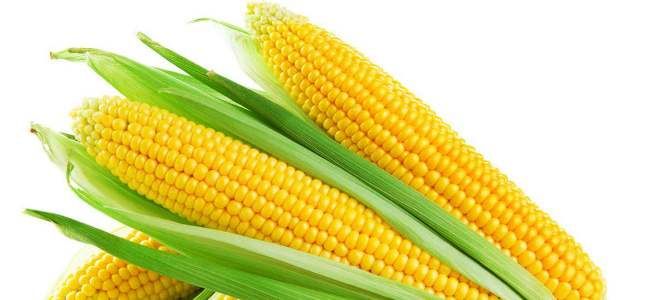 Использование кукурузы и ее продуктов при панкреатите