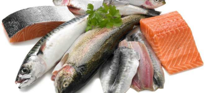 Разрешенные при панкреатите виды морской рыбы?