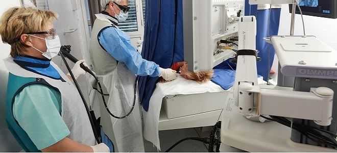 Что такое эндоскопическая ретроградная холангиопанкреатография?