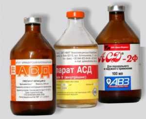 АСД 2 при сахарном диабете 2 типа