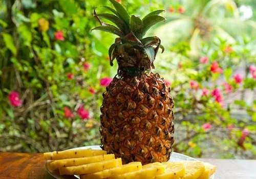 Ананас