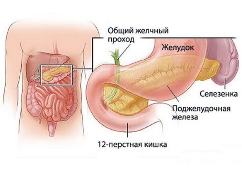 забрюшинное расположение поджелудочной