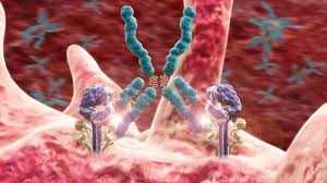 Аутоиммунная реакция