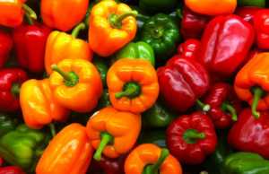 Болгарский перец при диабете 2 типа