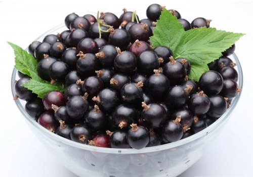 Чашка с черной смородиной