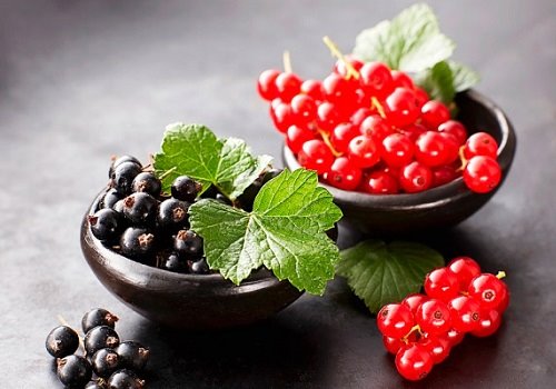 Чашки с красной и черной смородиной