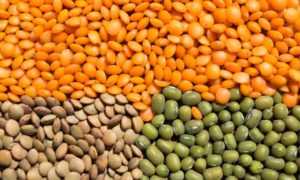 Чечевица при сахарном диабете