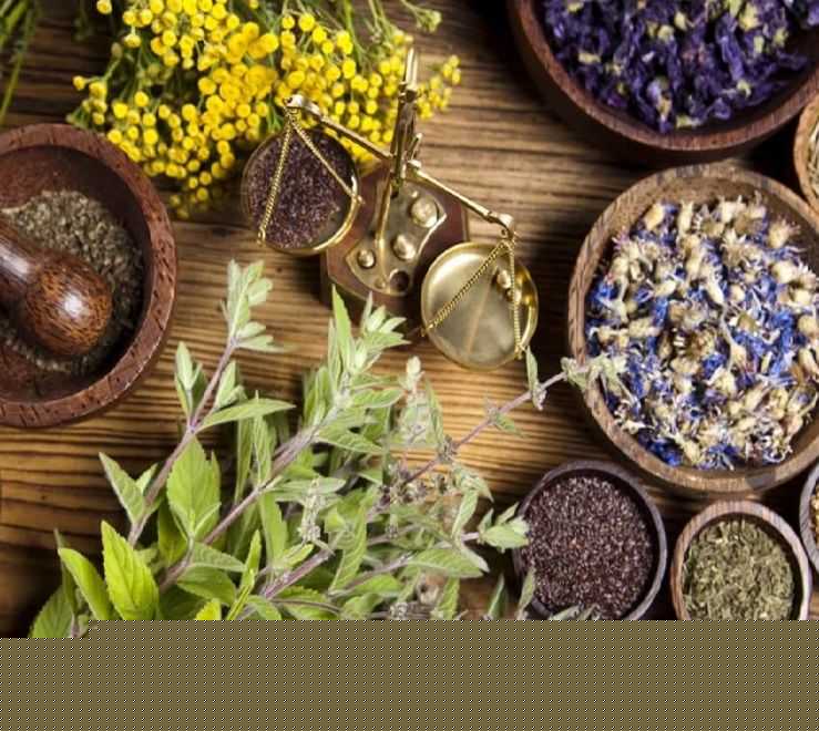 Эффективность использования трав