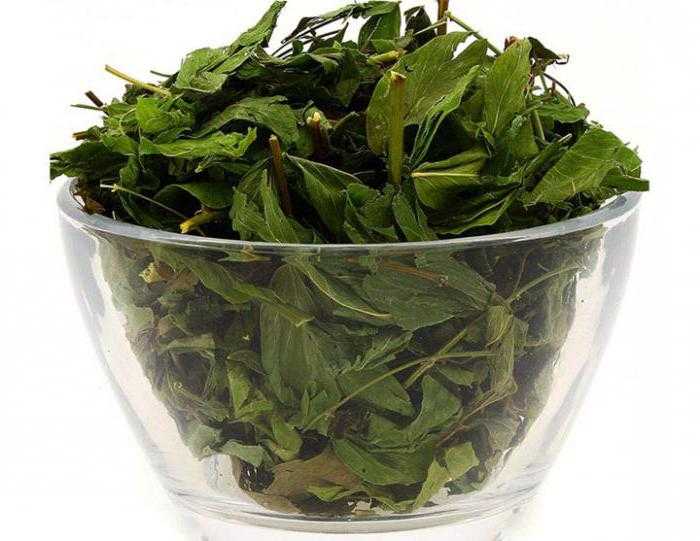 Эффекты галеги (козлятника)