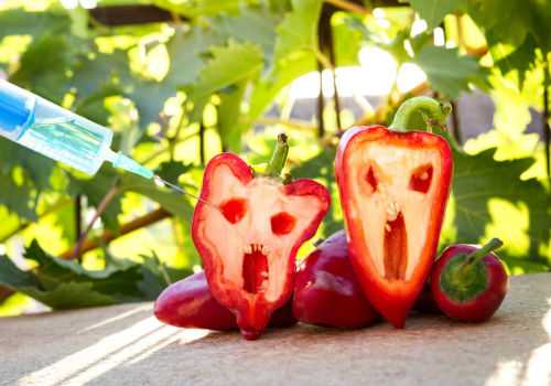 продукты с ГМО