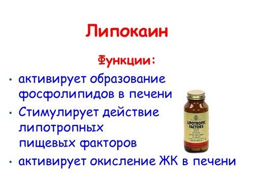 Функции липокаина