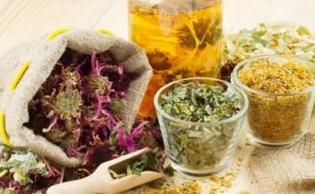 Галега и её использование