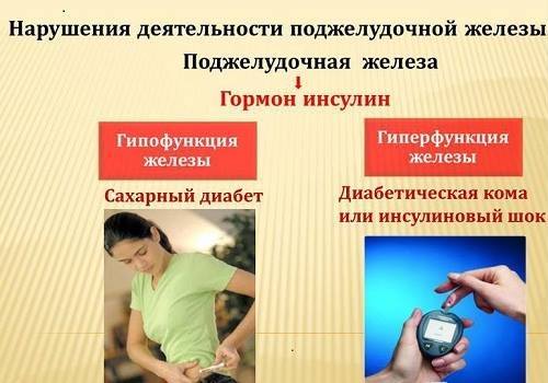 Гиперфункция и гипофункция поджелудочной железы
