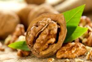 Грецкие орехи при сахарном диабете