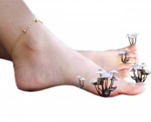 Грибковые инфекции