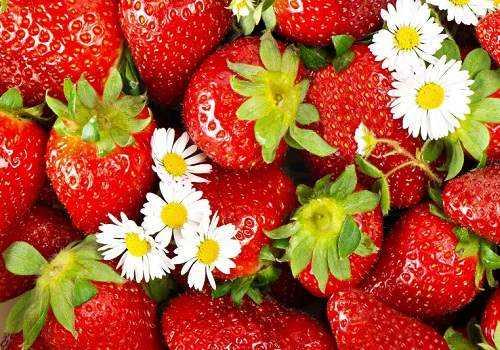 Клубника с цветами