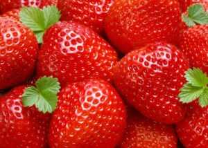 Клубника и земляника при диабете