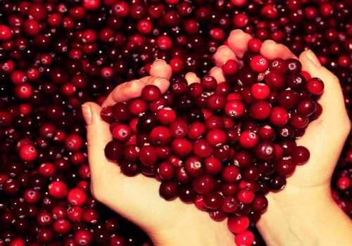 сердце из ягод клюквы