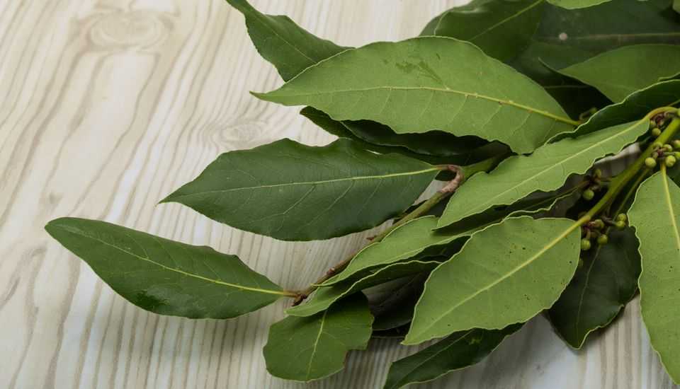 Как выбрать