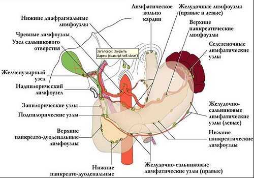 Лимфоузлы ПЖ
