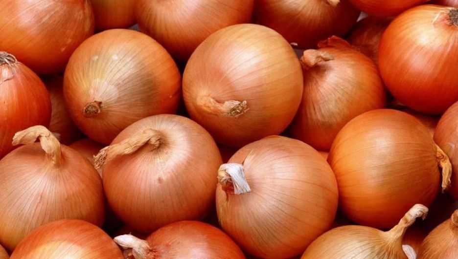 Польза лука