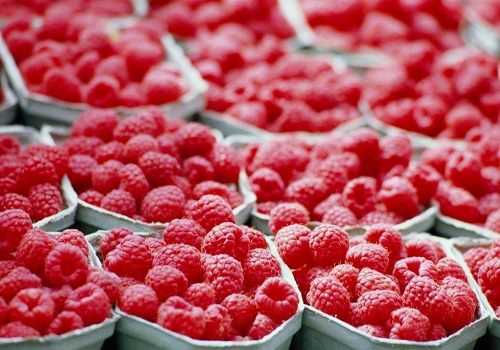 контейнеры с малиной