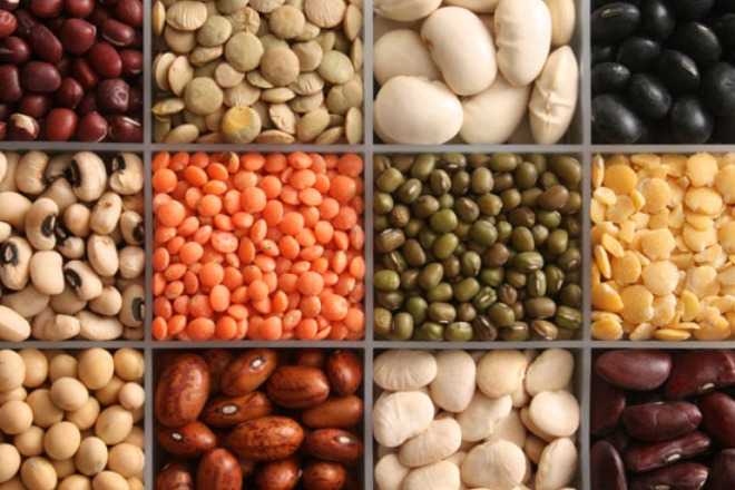 Минусы, которыми обладают бобовые