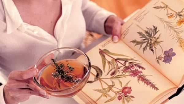 Основа большинства народных средств