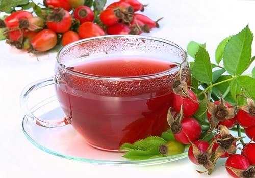 Отвар шиповника