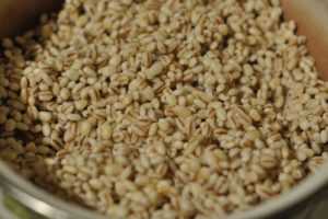 Перловка при диабете - правила употребления