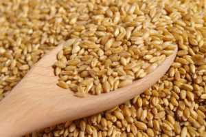 Полба при диабете