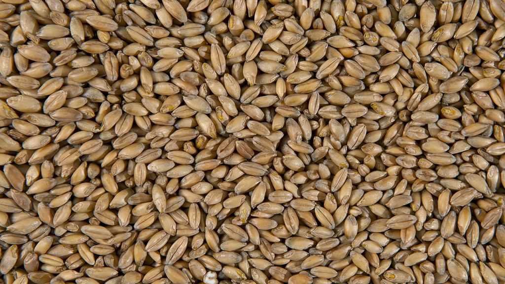 Противопоказания