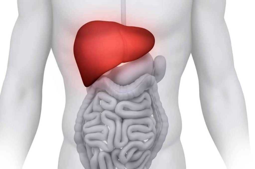 Профилактика и рекомендации