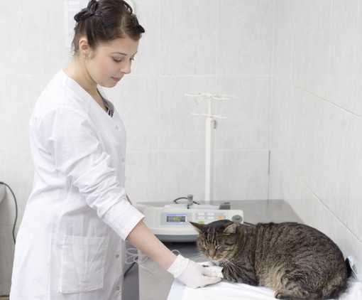 Регулировка инсулина