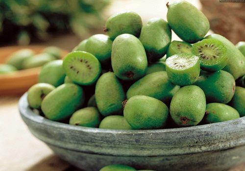 Тарелка с киви без кожуры