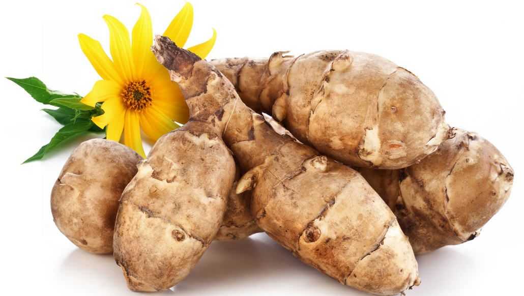 Топинамбур