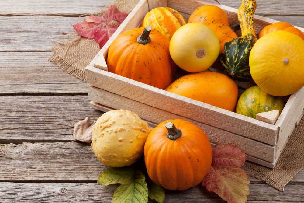 Полезные свойства