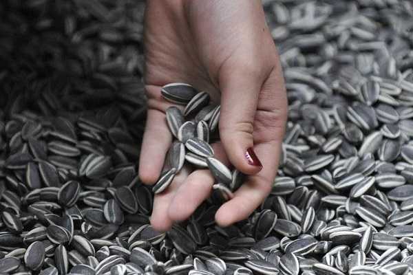 Употребление семечек при диабете