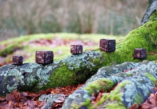 Верьте природе