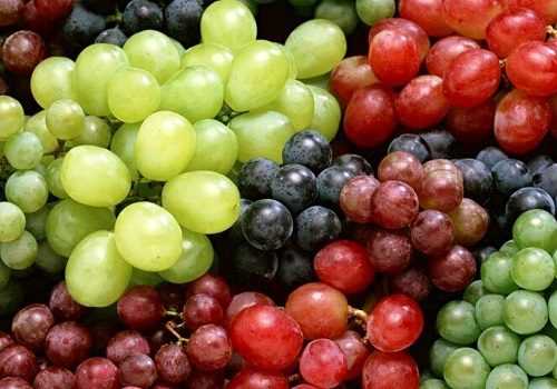 Виноград