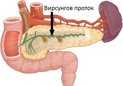Вирсунгов проток