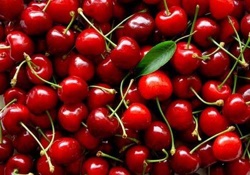 Вишня и черешня